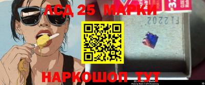 стафф Бердск