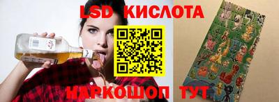 стафф Бердск