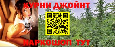 стафф Бердск