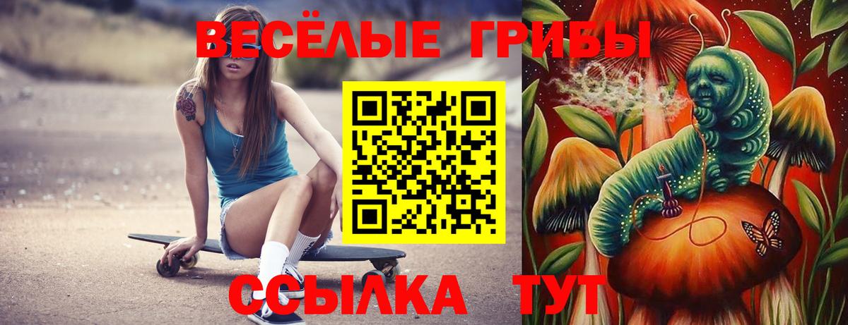 Элиста  Галлюциногенные грибы Cubensis  Вход с VPN 
