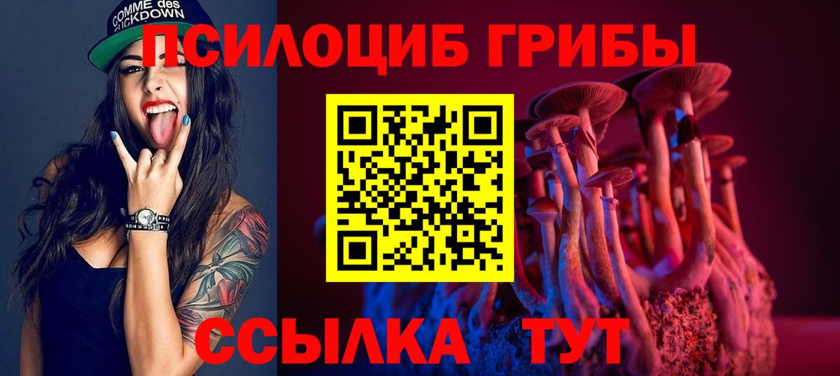 Псилоцибиновые грибы мицелий Элиста